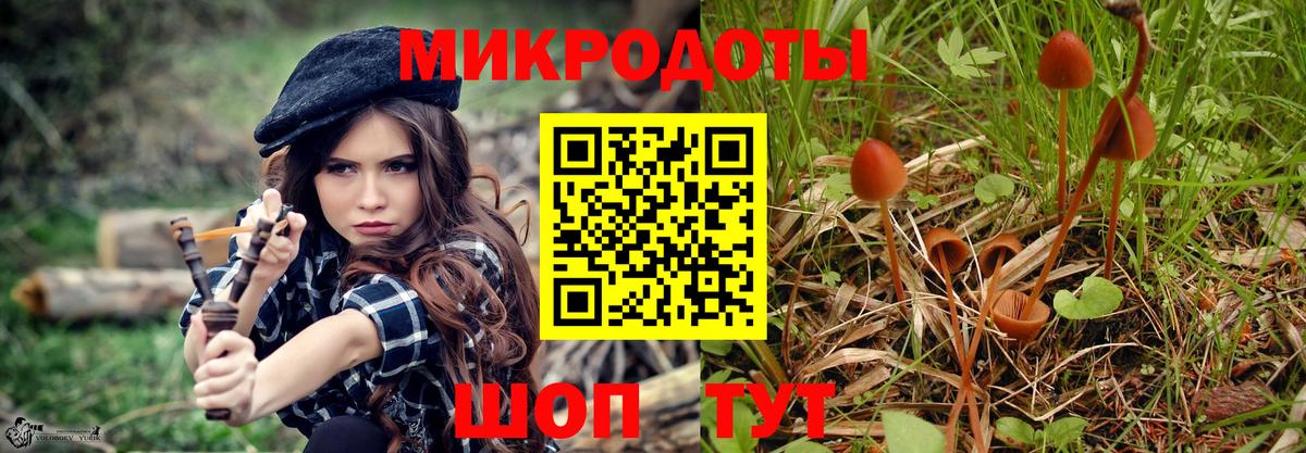 закладка  Галлюциногенные грибы Psilocybine cubensis  Вход с VPN  Карпинск 